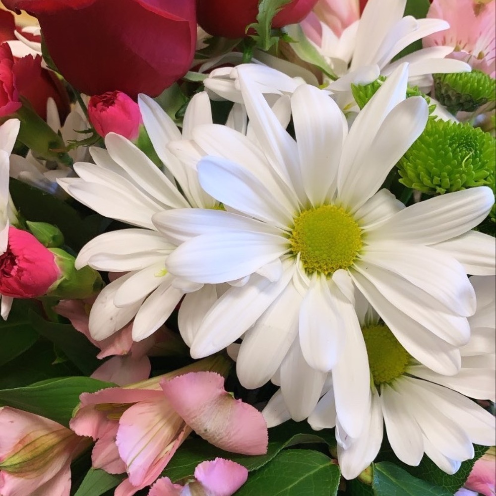 Meet your Posher, Seana